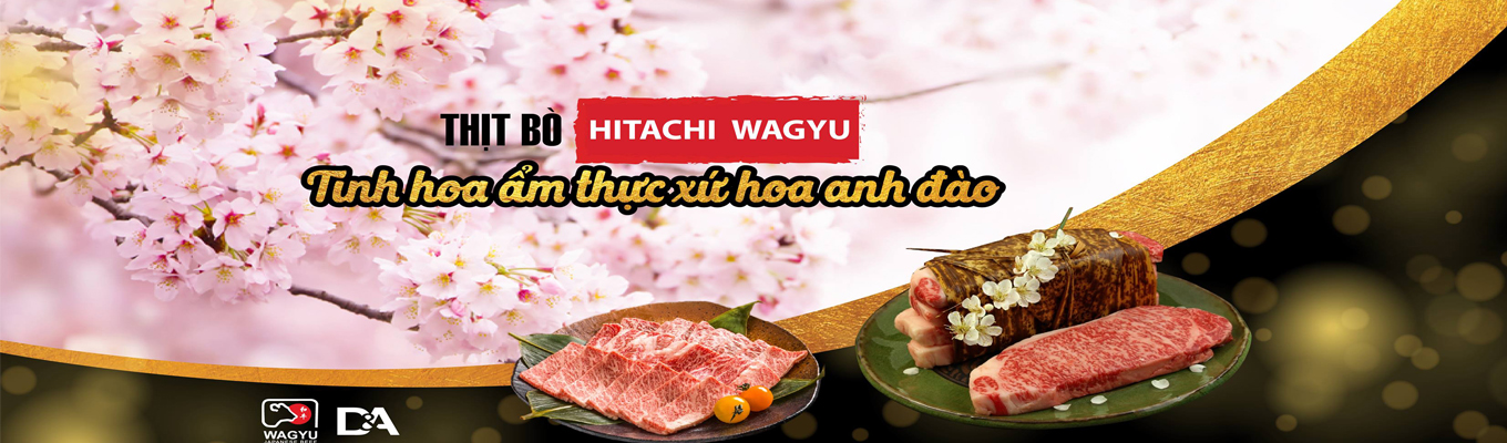 Rượu Sake Shiragiku